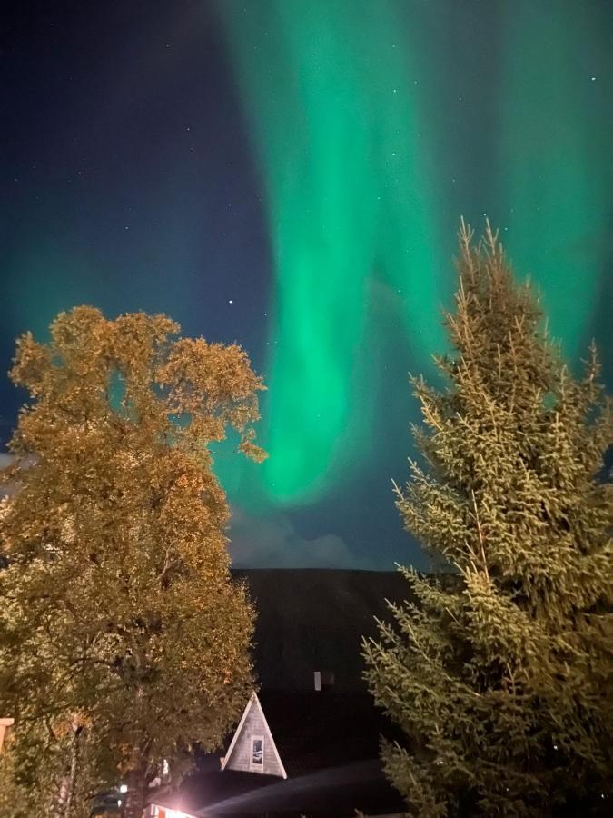 Tromso Arctic Villa With Free Parking Kültér fotó