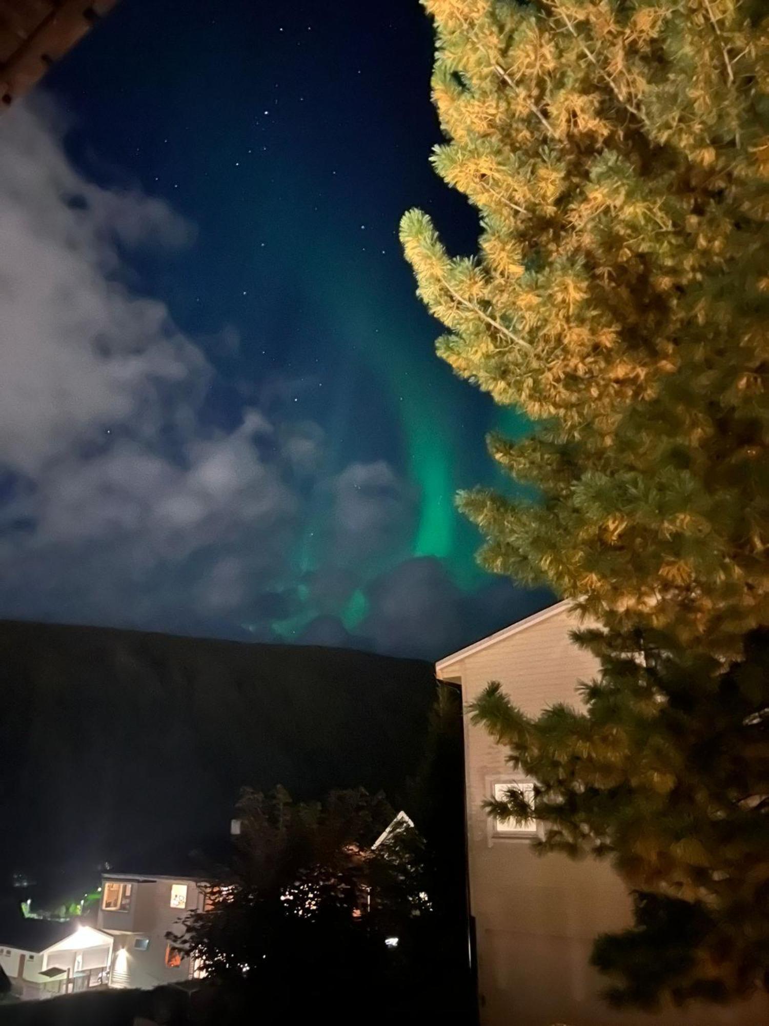 Tromso Arctic Villa With Free Parking Kültér fotó